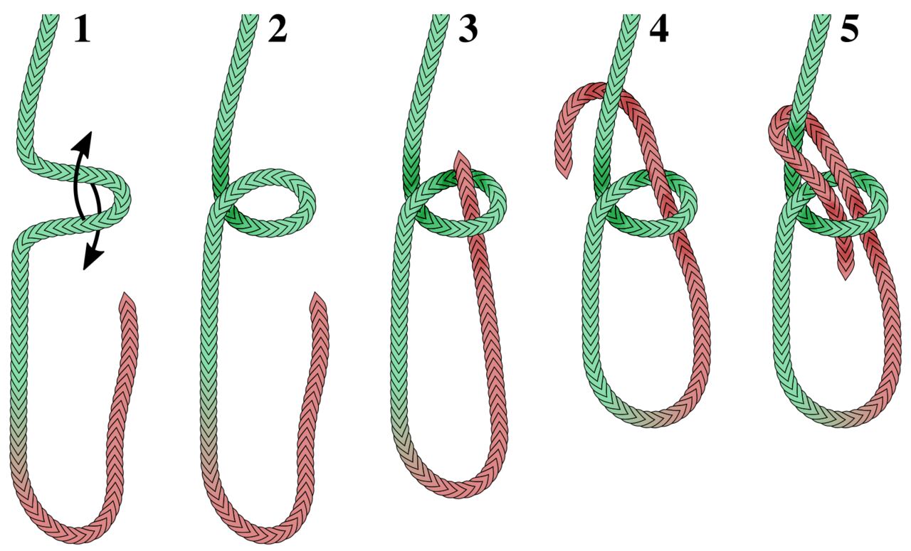 Five-step diagram for tying a bowline knot