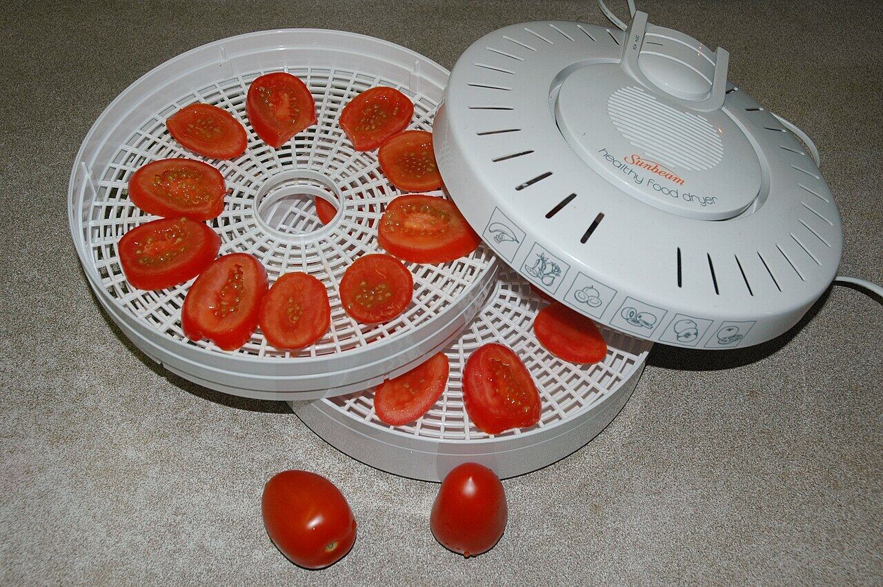 Tomato slices on the trays of a food dehydrator